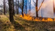 U.S. Senator Martin Heinrich on Climate Change and Wildfires