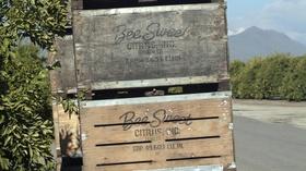Video thumbnail: byYou Leadership & Workforce 2017 BPF Ag Business Award: Bee Sweet Citrus