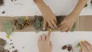 Cómo hacer una corona natural con hojas