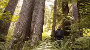 Marbled Murrelets