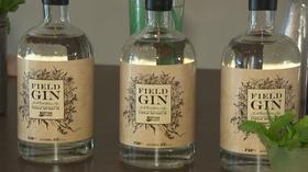 Video thumbnail: Chicago Tonight Field Museum to Release Gin Rooted in 1893 World’s Fair