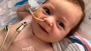 Little Braveheart