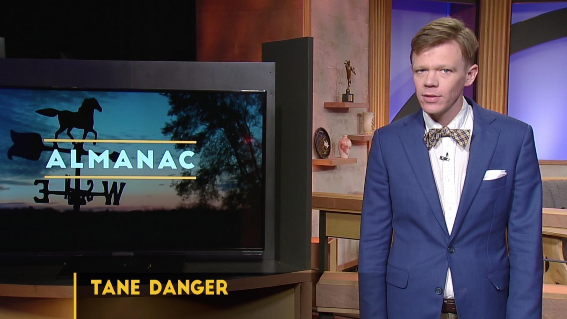 Weekly Essay | Tane Danger