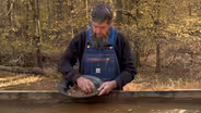 The Reed Gold Mine