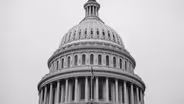 “We don't want just the veneer of a democracy”