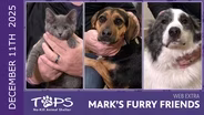 12/11/2025 | Ruben, Ivy and Asher | Mark's Furry Friends Extra
