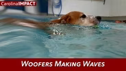Woofers Making Waves | Carolina Impact