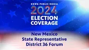 Election 2024: NM State Representatives 36 Forum
