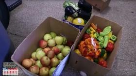 Video thumbnail: Your South Florida “Chasing the Dream” – Palm Beach Food Insecurity