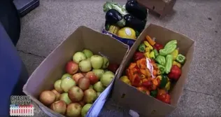 “Chasing the Dream” – Palm Beach Food Insecurity