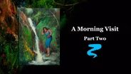 A Morning Visit Part II