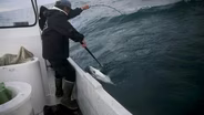 Why San Diego’s Commercial Fishing Fleet Is Disappearing
