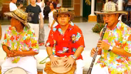 Heartbeat of Vallenato