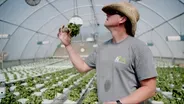 THE FARM