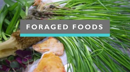 Video thumbnail: Feast TV Foraged Foods