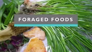 Foraged Foods