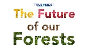 The Future of Our Forests