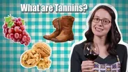 Wine Time: Taste of Tannins!