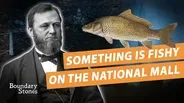 The Disastrous Move to Make the National Mall a Fish Farm