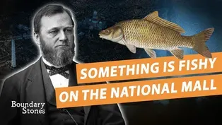 The Disastrous Move to Make the National Mall a Fish Farm