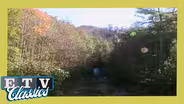 Biosphere Reserve - Great Smoky Mountains | Carolina Journal (1984)