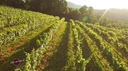 Video thumbnail: Un-Wine'd Stone Mountain Vineyards