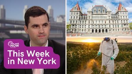 Video thumbnail: New York NOW New York State Budget Finally Approved