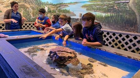 Video thumbnail: Carolina Classrooms We’re going on a field trip