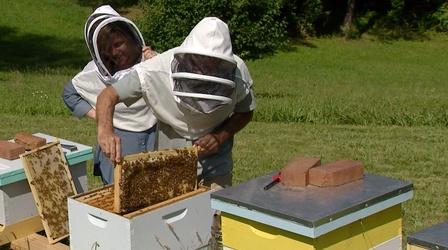 Video thumbnail: Charlottesville Inside-Out Beekeeper Deigo Decorte