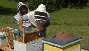 Beekeeper Deigo Decorte