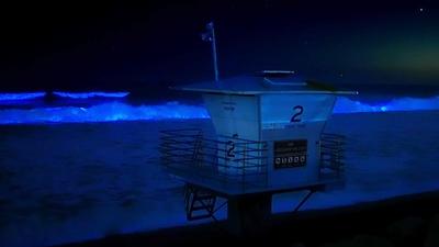 Why Does San Diego's Ocean Glow Blue?