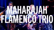 Maharajah Flamenco Trio