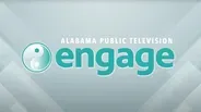 Engage: Getting the Vote Right