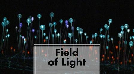 Video thumbnail: Arts District Bruce Munro’s Field of Light in southern Colorado