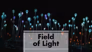 Bruce Munro’s Field of Light in southern Colorado