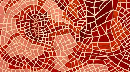 Video thumbnail: AHA! A House for Arts Discover the Amazing Patterns of Artist Naomi Lewis