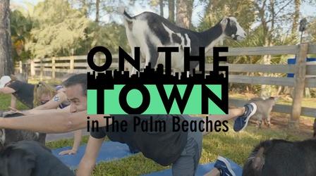 Video thumbnail: On The Town Outdoor Adventures in the Palm Beaches