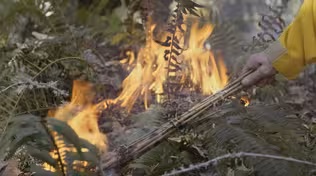 Fire Tender | Restorative Fire