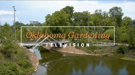 Video thumbnail: Oklahoma Gardening Gardens in the Tulsa area on the Best of Oklahoma Gardening