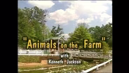 Animals on the Farm Song