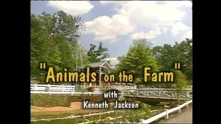 Animals on the Farm Song