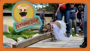 Petting Zoo: Senior Dog Wedding