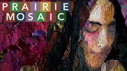 Prairie Mosaic 1703