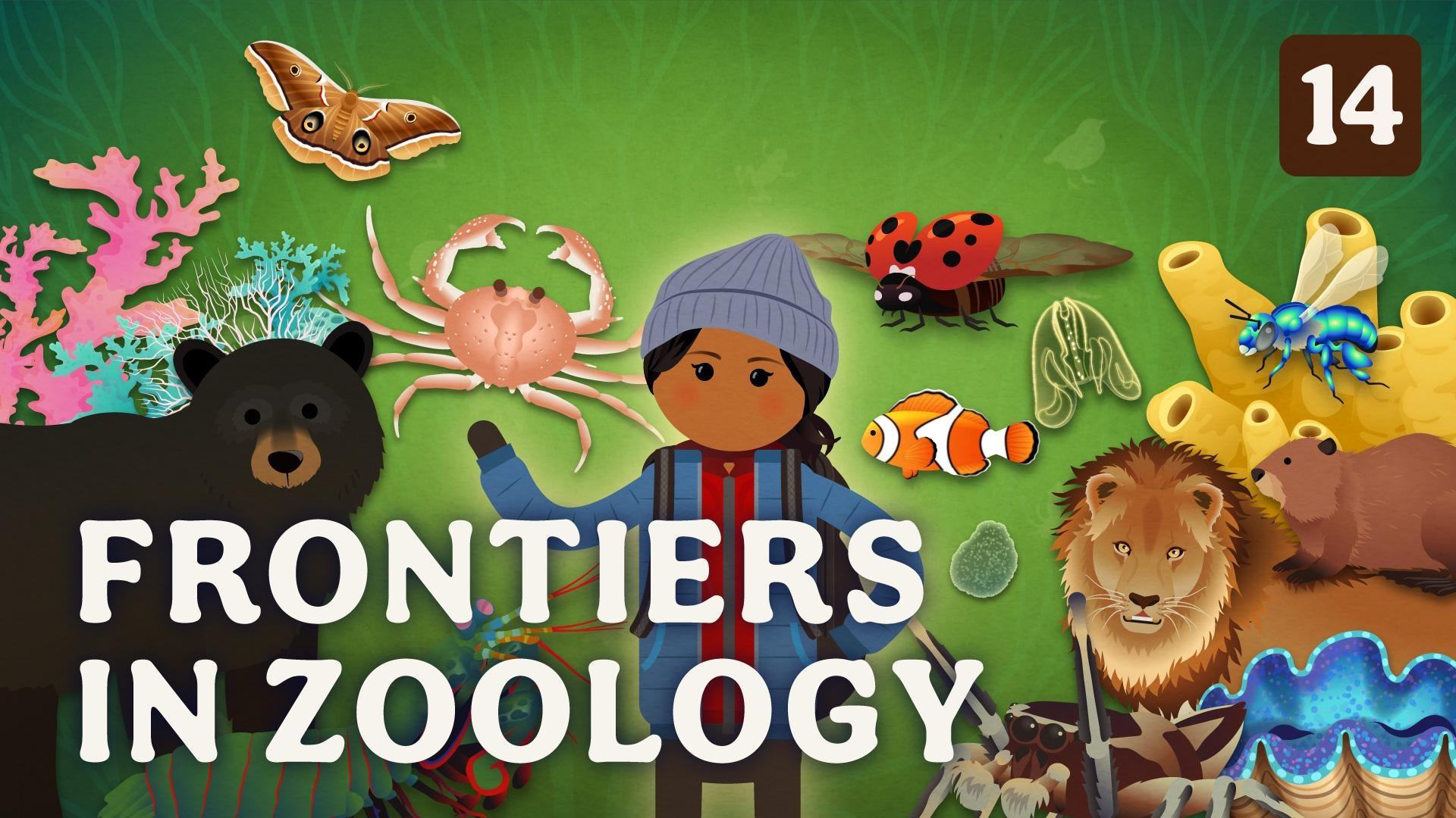 Crash Course Zoology Frontiers in Zoology Episode 14