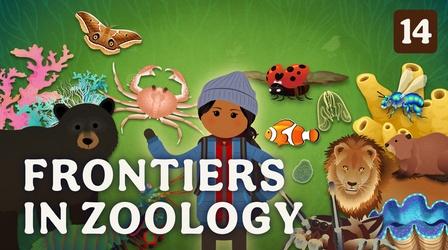 Video thumbnail: Crash Course Zoology Frontiers in Zoology
