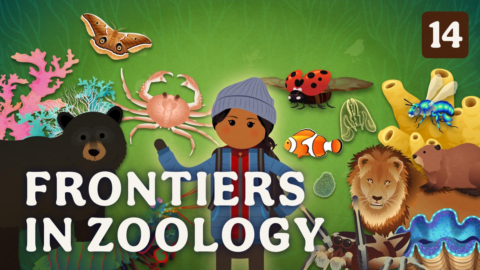 Crash Course Zoology Episodes KCTS 9