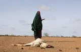 Famine propelled by climate change threatens Somalia