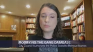 Police Board May Remove Chicagoans from Gang Database