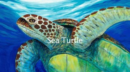 Video thumbnail: Wyland's Art Studio Sea Turtle