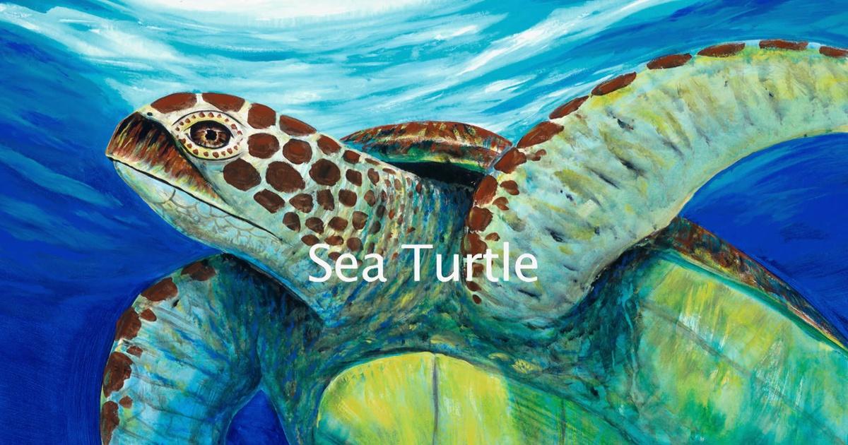 Wyland's Art Studio | Sea Turtle | Season 5 | Episode 511 | PBS